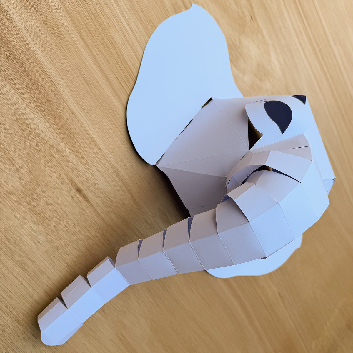 Elephant Mask Kit